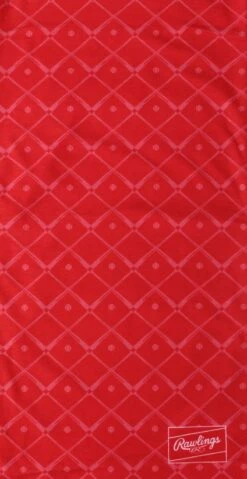 Rawlings Adult Multi-Functional Head And Face Gear, Bats -Rawlings Shop RC40005 600 1