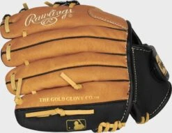 Rawlings Sure Catch 10-Inch Youth I-Web Glove -Rawlings Shop SC100TBI 4